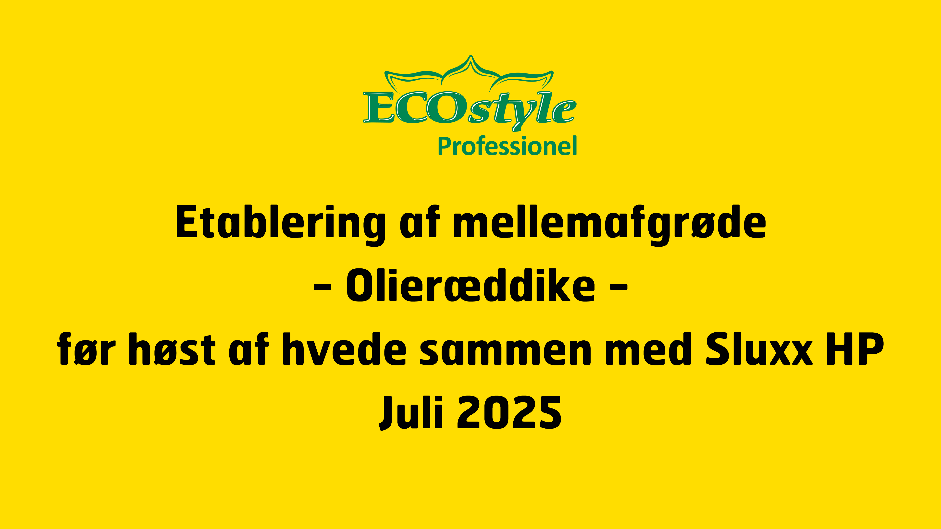 Efterafgrøder, snegle og Sluxx HP